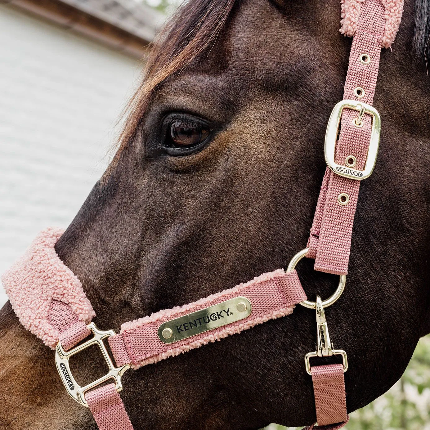 Kentucky Horsewear Teddy Fleece Headcollar - Old Rose