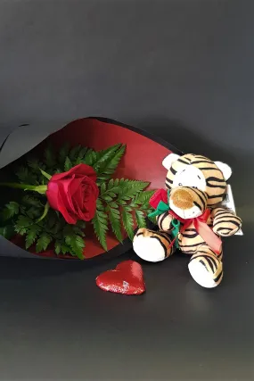 Single Rose Gift Pack - Rose, Teddy & Chocolate